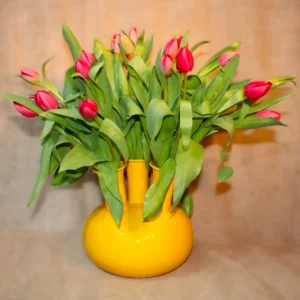 gele tulpenvaas met 5 toeters emaille