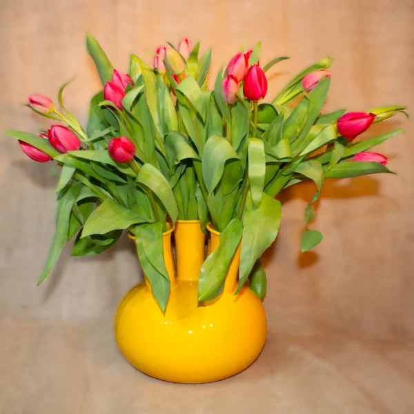 gele tulpenvaas met 5 toeters emaille