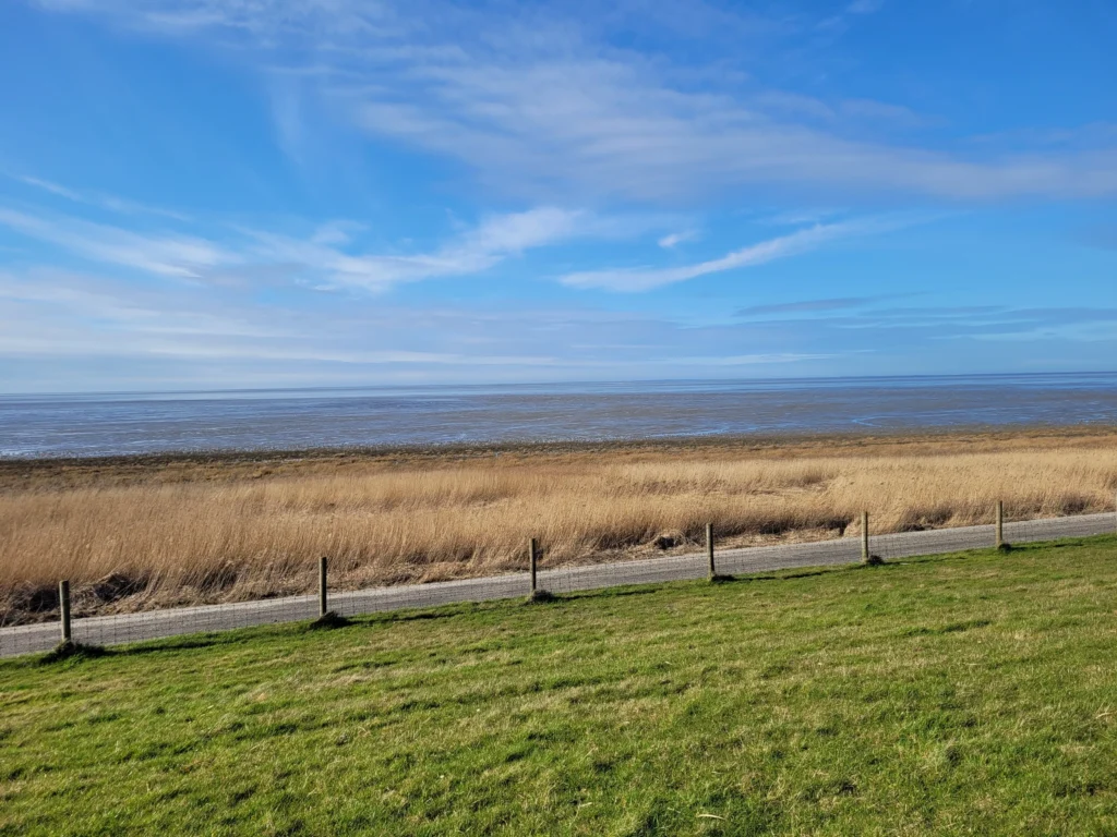 De Friese Waddenkunst met gras en water